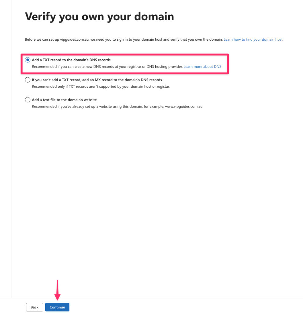 DNS verify domain